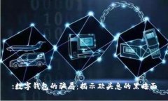 :数字钱包的骗局：揭示砍