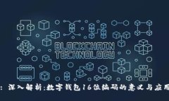 : 深入解析：数字钱包16位