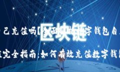 数字钱包可以自己充值吗？全面解析数字钱包自