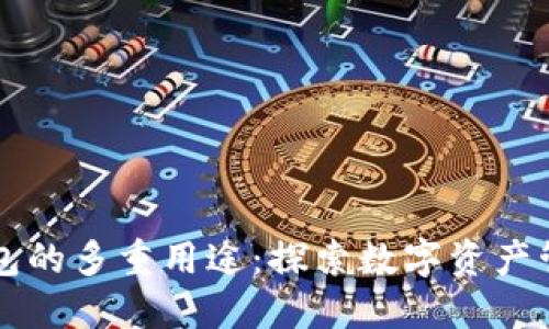 区块链钱包的多重用途：探索数字资产管理的未来