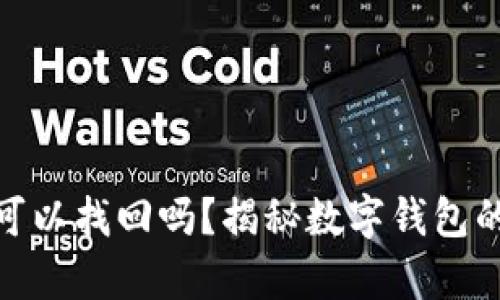 : 小狐钱包私钥可以找回吗？揭秘数字钱包的安全与恢复机制