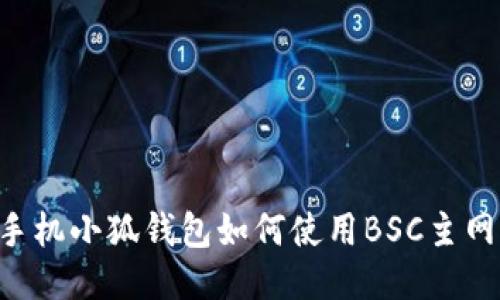 手机小狐钱包如何使用BSC主网？