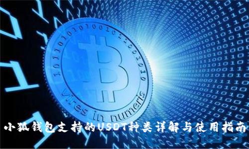 小狐钱包支持的USDT种类详解与使用指南
