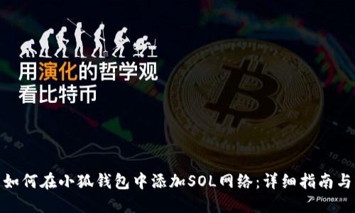 优秀如何在小狐钱包中添加SOL网络：详细指南与步骤