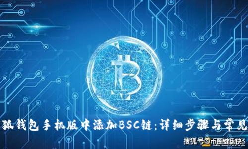 如何在小狐钱包手机版中添加BSC链：详细步骤与常见问题解答