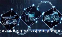 如何使用小狐钱包进行C