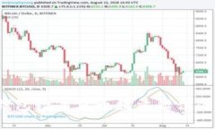 :解决TP钱包数字货币数量错误的终极指南