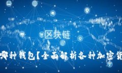 加密货币应放在哪种钱包
