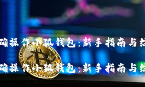 如何正确操作小狐钱包：新手指南与综合技巧

如何正确操作小狐钱包：新手指南与综合技巧