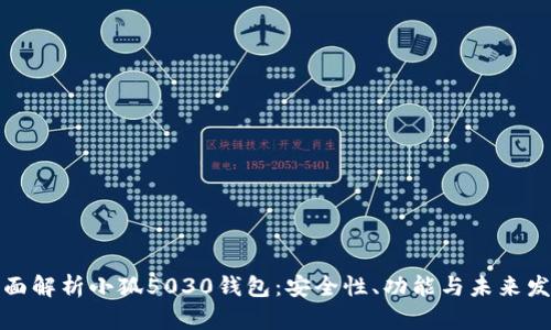 全面解析小狐5030钱包：安全性、功能与未来发展