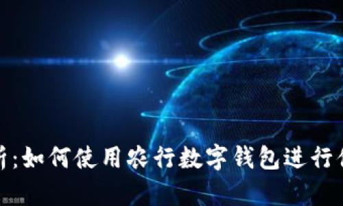 全面解析：如何使用农行数字钱包进行便捷支付