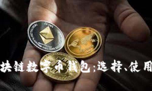 全面解析区块链数字币钱包：选择、使用与安全保障