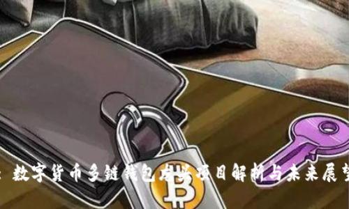: 数字货币多链钱包龙头项目解析与未来展望