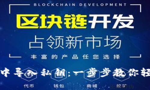 如何在小狐钱包中导入私钥：一步步教你轻松实现安全管理