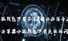 苹果小狐钱包下载不了？