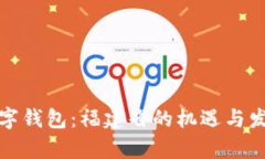 探索数字钱包：福建省的机遇与发展前景