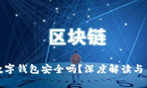 tp国际数字钱包安全吗？深度解读与用户指南