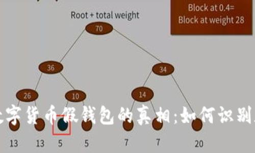 揭开加密数字货币假钱包的真相：如何识别和防范骗局
