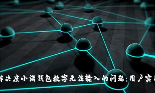 如何解决度小满钱包数字无法输入的问题：用户实用指南