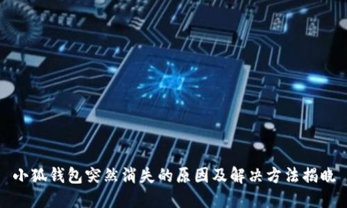 小狐钱包突然消失的原因及解决方法揭晓
