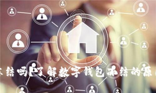数字钱包会冻结吗？了解数字钱包冻结的原因和解决方法