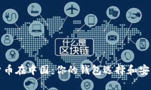数字货币在中国：你的钱包选择和安全指南