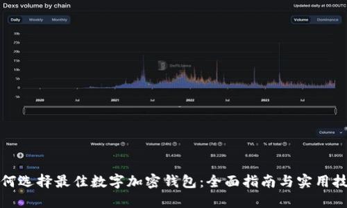 如何选择最佳数字加密钱包：全面指南与实用技巧