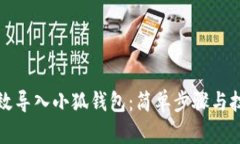 如何高效导入小狐钱包：简单步骤与技巧详解