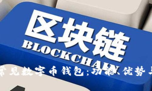 全面解析常见数字币钱包：功能、优势与选择指南