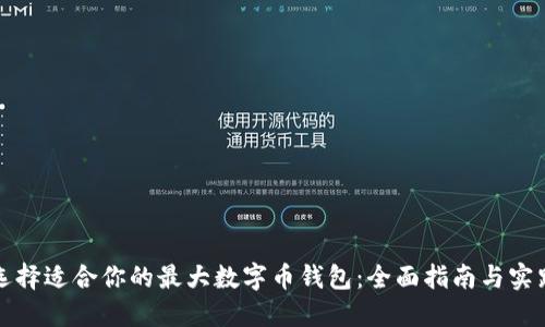 如何选择适合你的最大数字币钱包：全面指南与实践技巧