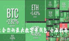 如何选择适合你的最大数