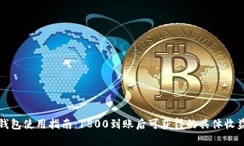 数字钱包使用指南：1800到账后可获得的具体收益解析
