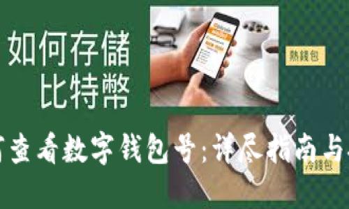 如何查看数字钱包号：详尽指南与技巧