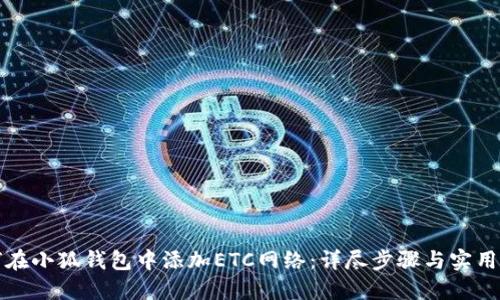 如何在小狐钱包中添加ETC网络：详尽步骤与实用技巧