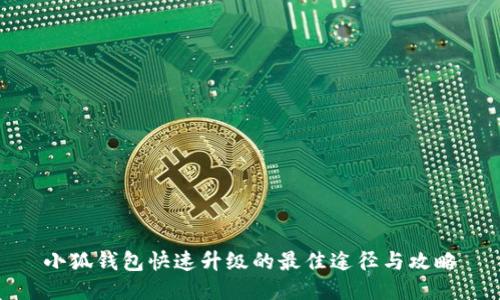 小狐钱包快速升级的最佳途径与攻略