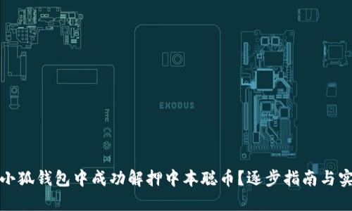 如何在小狐钱包中成功解押中本聪币？逐步指南与实用技巧