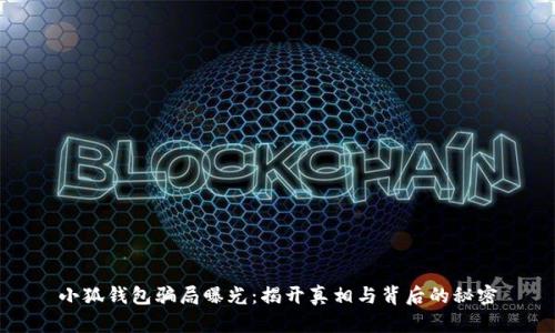 小狐钱包骗局曝光：揭开真相与背后的秘密