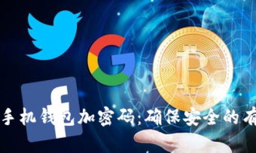 如何给手机钱包加密码：确保安全的有效方法