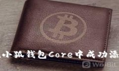 如何在小狐钱包Core中成功