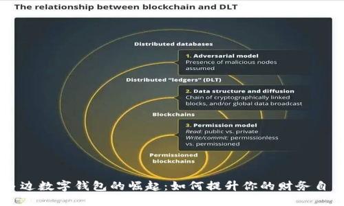 多边数字钱包的崛起：如何提升你的财务自由